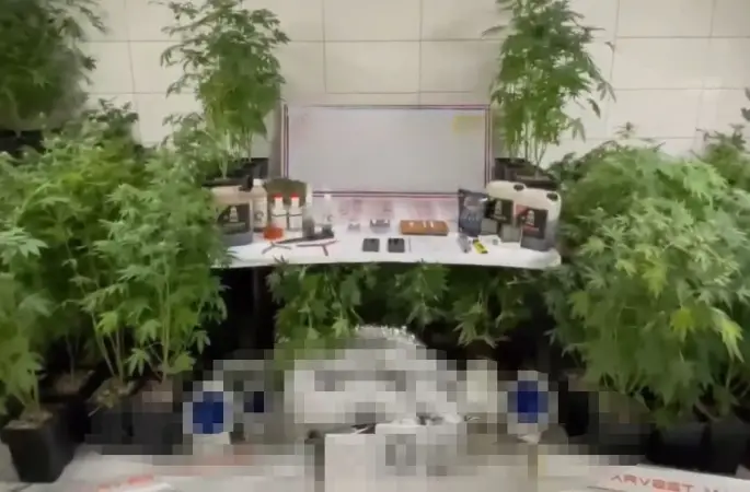 Jandarmadan uyuşturucu operasyonu: Evde üretim düzeneği kurmuş
