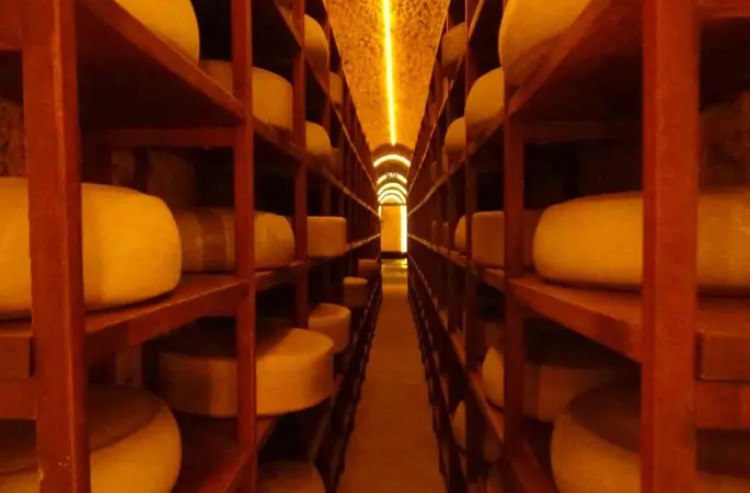 Kars Peynir Müzesi turistlerin gözdesi oldu
