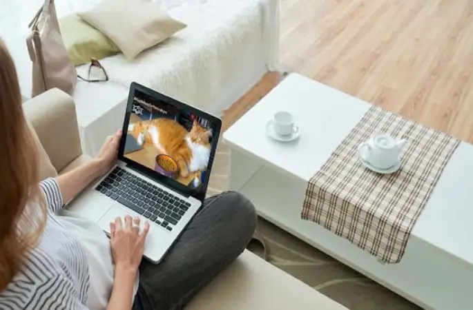 Kasım 2025 hangi sitede ne indirimler var online alışveriş indirimleri