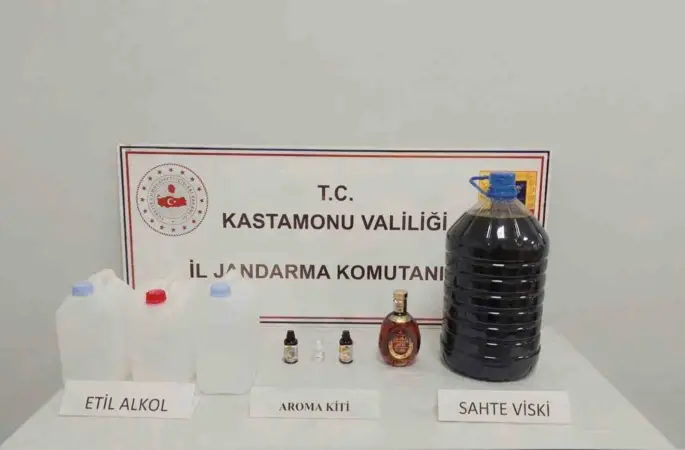 Kastamonu’da kaçakçılık operasyonu: 1 gözaltı
