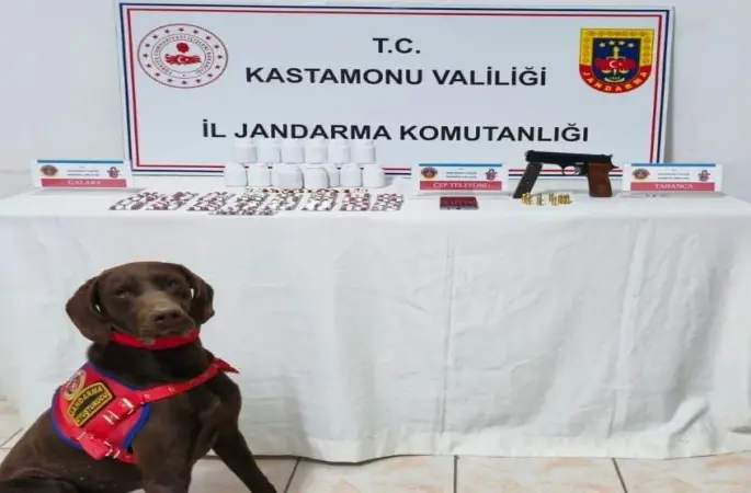 Kastamonu’da uyuşturucu operasyonu: 1 tutuklama

