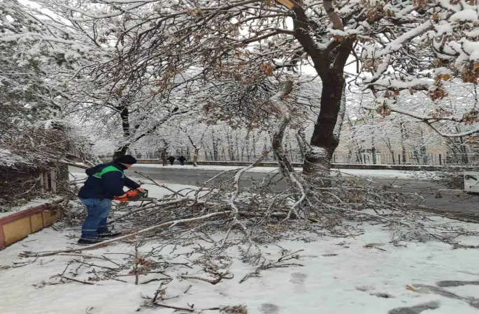Kayseri Büyükşehir’den kış çalışmalarında ağaç güvenliği seferberliği

