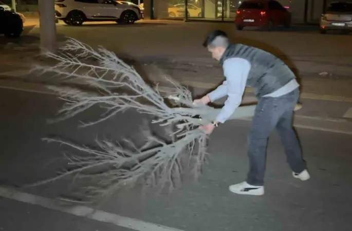 Kaza sonrası cam ve plastik parçalarıyla dolan yolu vatandaş kırılan ağaçla böyle temizledi
