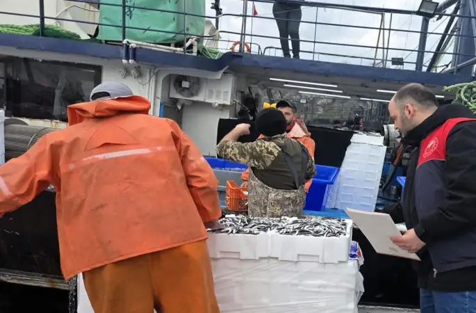 Kırklareli’nde hamsi avcılığına sıkı denetim: 15 milyon 270 bin 699 kilogram hamsi karaya çıkarıldı
