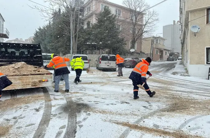 Kırklareli’nde solüsyonla ilaçlama ve tuzlama çalışmaları
