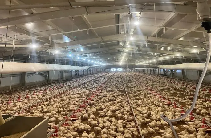 Kırsalda üretime 33,6 milyon liralık can suyu
