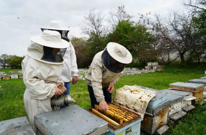 Kış uykusundan uyanan arılar Erzincan’da yeni sezona hazırlanıyor

