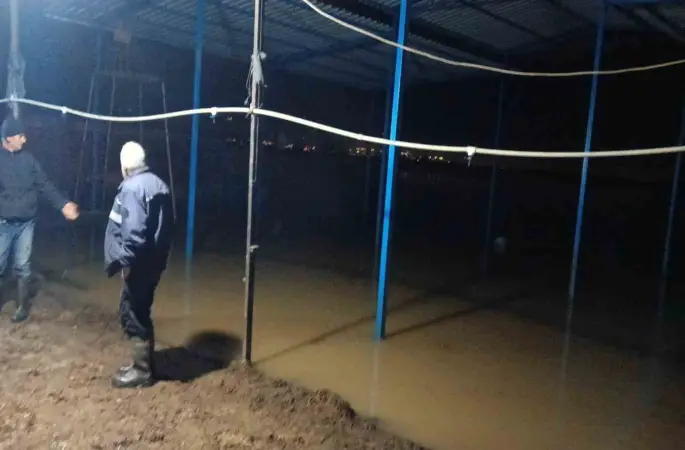 Koçarlı’da su baskını sonrası hayvan tahliyesi sürüyor
