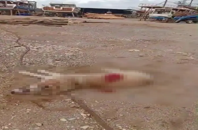 Köpeği av tüfeğiyle öldürdü, gözaltına alındı
