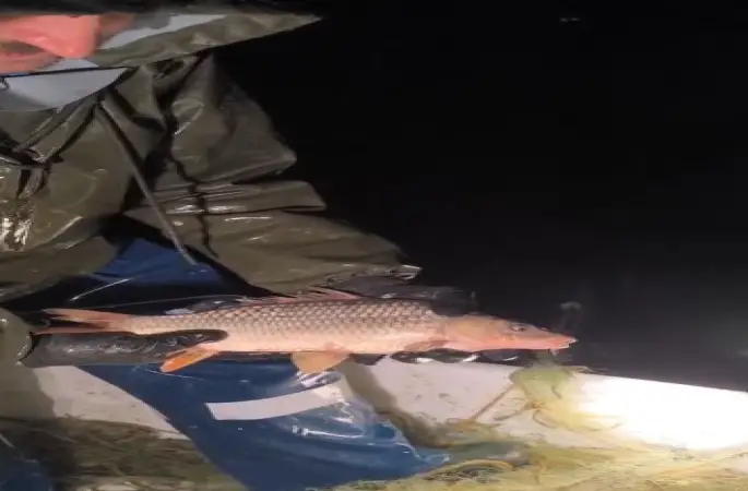 Kovada Gölü’nde yasa dışı avcılığa geçit yok: Kaçak avcılıkta kullanılan 7 çuval ağa el konulurken, balıklar tekrar göle salındı
