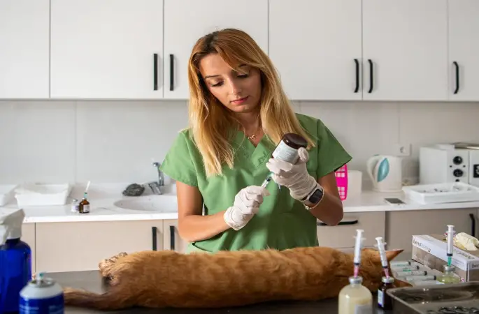 Kuşadası Belediyesi patili dostların yanında
