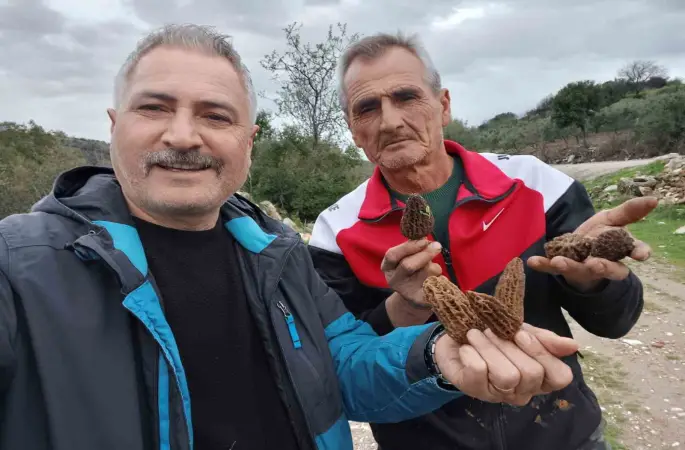 Manisa’da kuzugöbeği tutkusu engel tanımıyor
