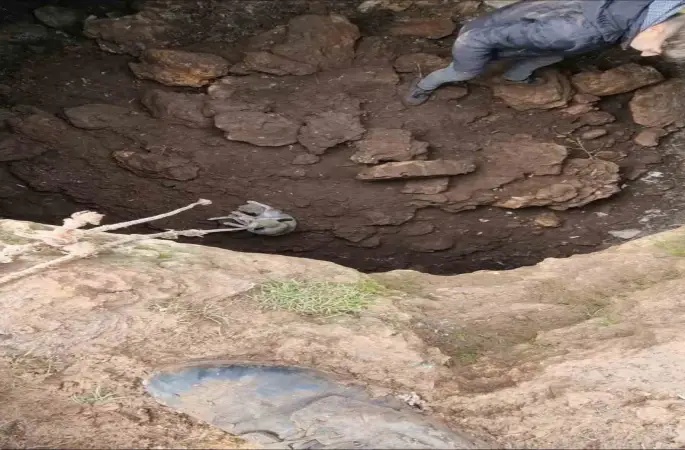 Mardin’de kuyuya düşen tilkiyi gençler kurtardı
