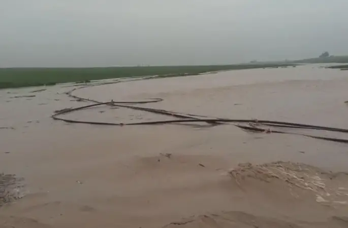 Mardin’de sağanak hayatı felç etti: Dereler taştı, ahır çöktü
