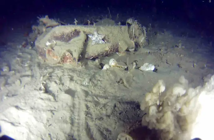 Marmara Denizi’ne 51 yıl önce düşen THY uçağına ait yeni izler bulundu
