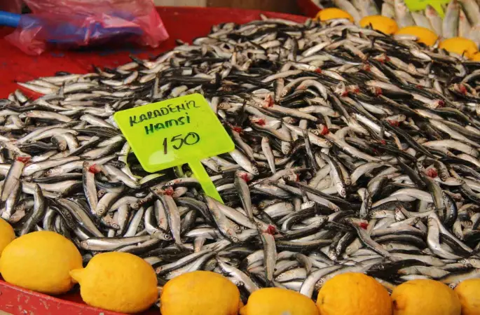 Menteşe pazarında hamsi ucuzladı
