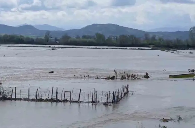 Meriç Nehri taştı, sular yollara ulaştı
