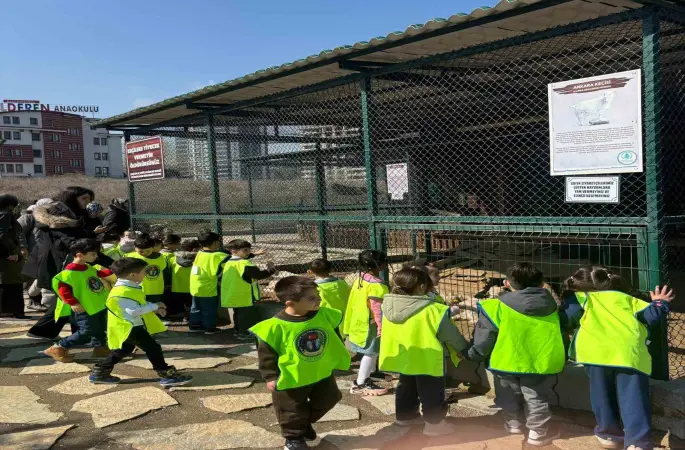 Minikler için doğada eğlence ve eğitim bir arada
