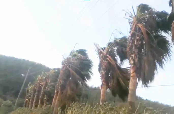 Muğla’nın Kuzey bölümleri için fırtına uyarısı
