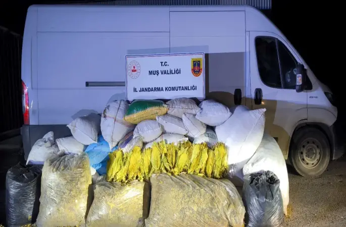 Muş’ta 1 ton 200 kilogram bandrolsüz tütün ele geçirildi

