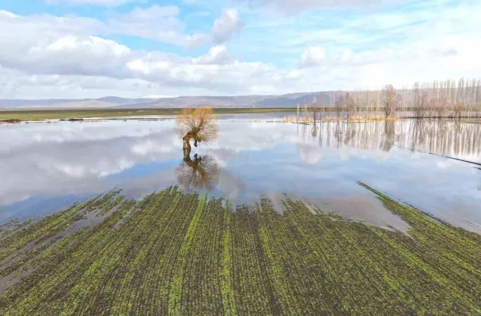 Muş’ta eriyen kar ve sağanak ovayı sular altında bıraktı
