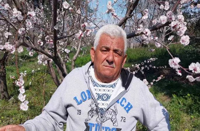 Mut’ta kayısı ağaçları adeta gelinliğe büründü
