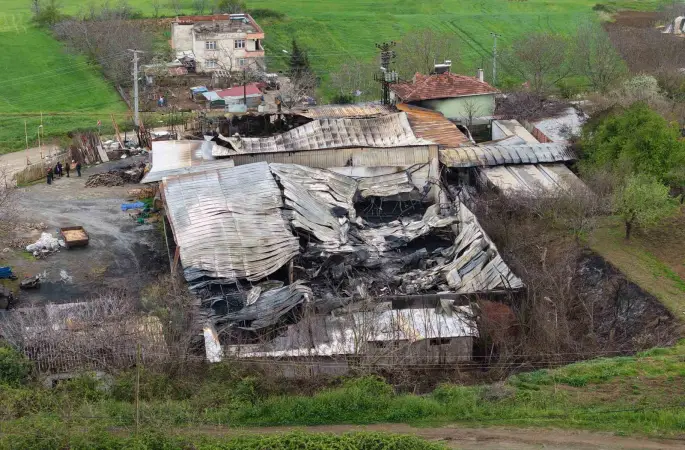 Muz deposundaki yangının zararı gün ağarınca ortaya çıktı
