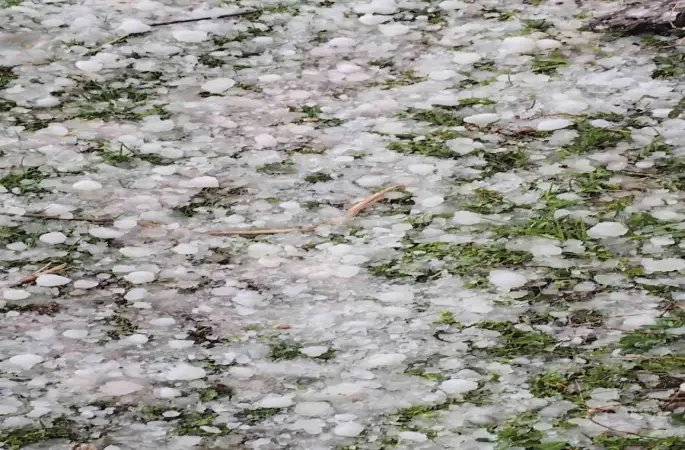 Niğde’de dolu yağışı etkili oldu
