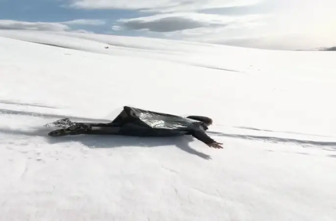 Nisan ayında çöp poşetiyle kaydılar, o anları kayda aldılar
