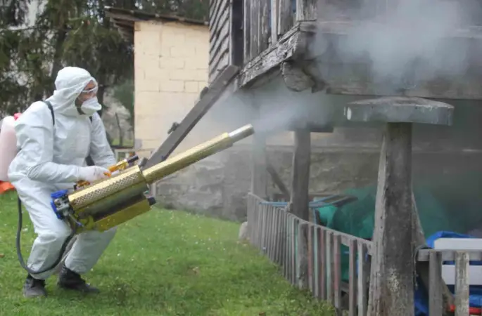 Ordu’da kahverengi kokarca ile kışlak mücadelesi: 330 bin noktadan 190 bini ilaçlandı
