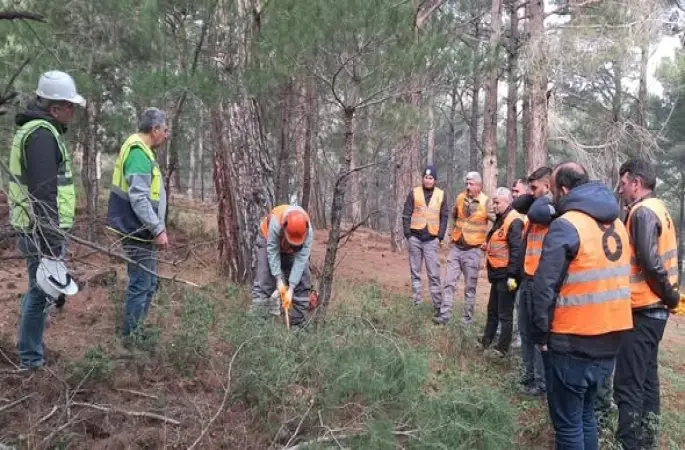 Orman işçileri Kazdağları’nda sınav için ter döktü
