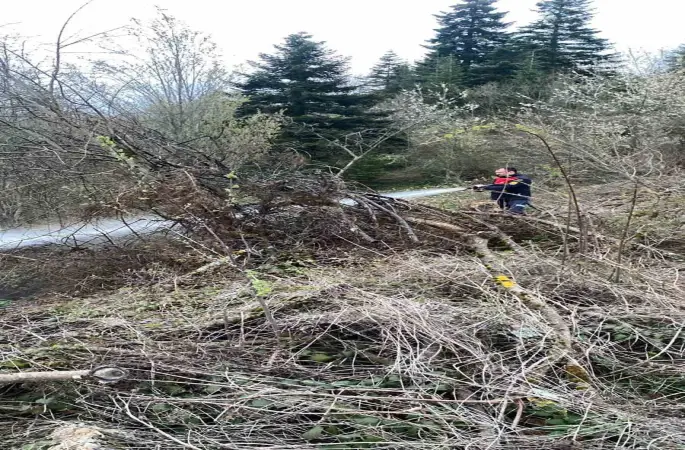 Ormanlık alanda çıkan yangın büyümeden söndürüldü
