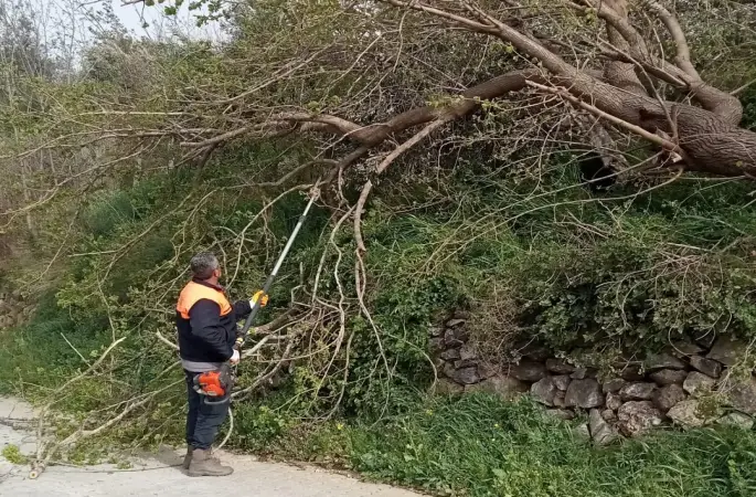 Osmaniye’de fırtına etkili oldu, devrilen ağaçlar yolları kapattı
