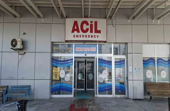 Otomobil ağaca çarptı: 1 yaralı
