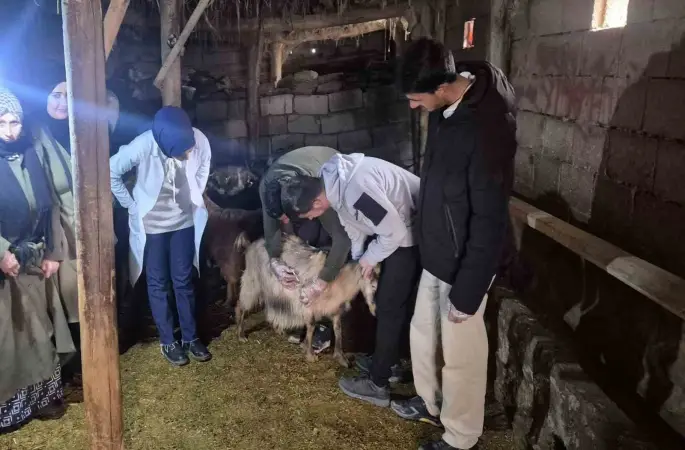 Özalp’te çiftçilere yönelik eğitim seferberliği başlatıldı
