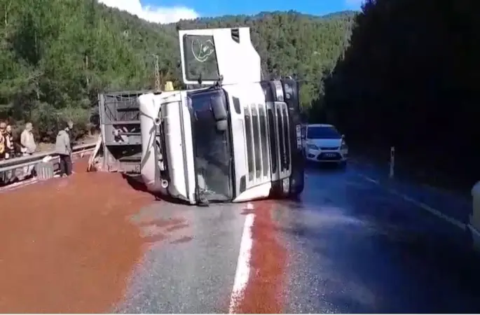 Peyzaj malzemesi yüklü tır devrildi
