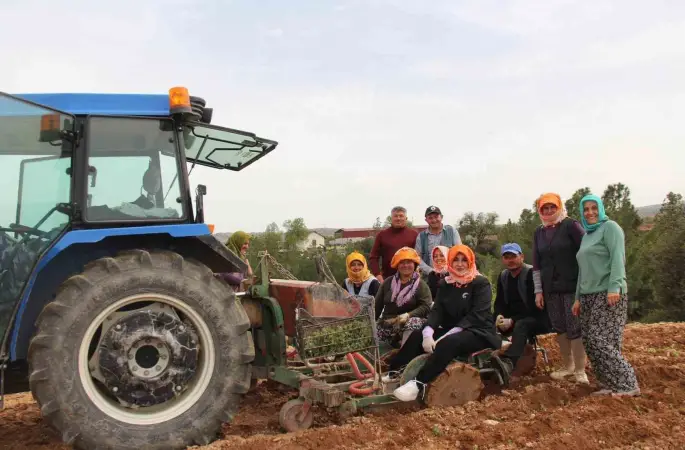 Poşusunu takan Kaymakam Kuran üreticilerle birlikte kekik dikti
