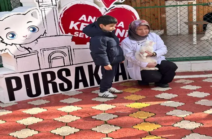 Pursaklar’da öğrencilerden kedi evine ziyaret
