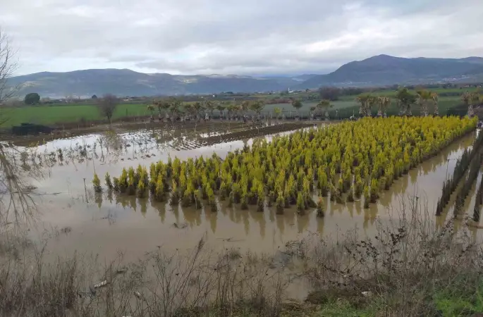 Sağanak yağış Ödemiş’te zarara neden oldu
