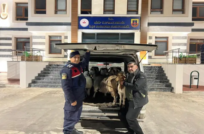 Sahte para ile hayvan alarak besiciyi dolandıran şahıslar yakalandı
