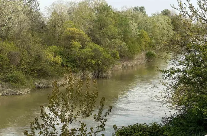 Sakarya Nehri’ne düşen çocuk didik didik aranıyor
