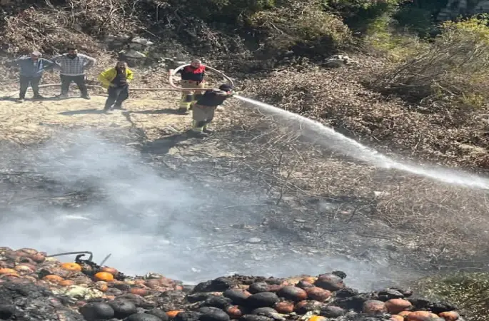 Samandağ’da bahçede çıkan yangın büyümeden söndürüldü
