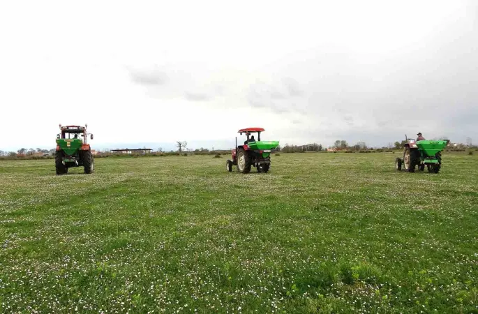 Samsun’da meralarda ıslah çalışmaları sürüyor
