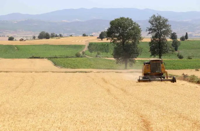 Samsun’da tarım, hayvancılık ve kırsal kalkınmaya 3 milyar TL üzerinde destek
