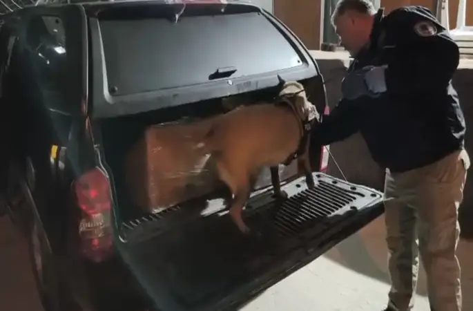 Samsun’da uyuşturucu operasyonunda 165 bin hap ele geçirildi
