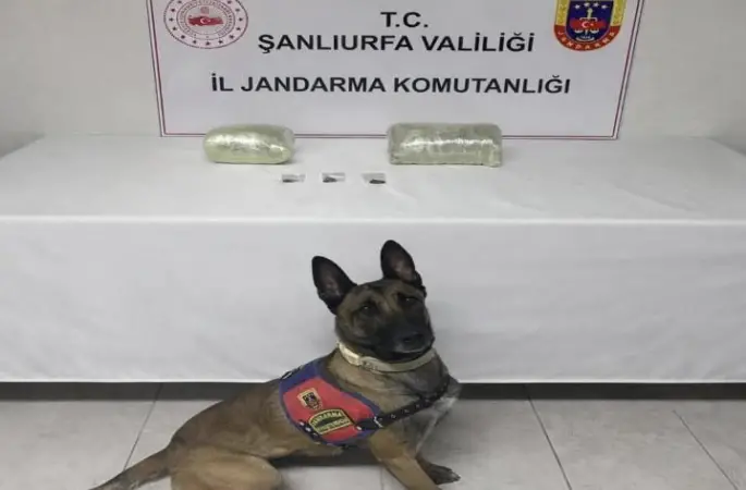 Şanlıurfa’da 2 kilo kubar esrar ele geçirildi: 1 gözaltı
