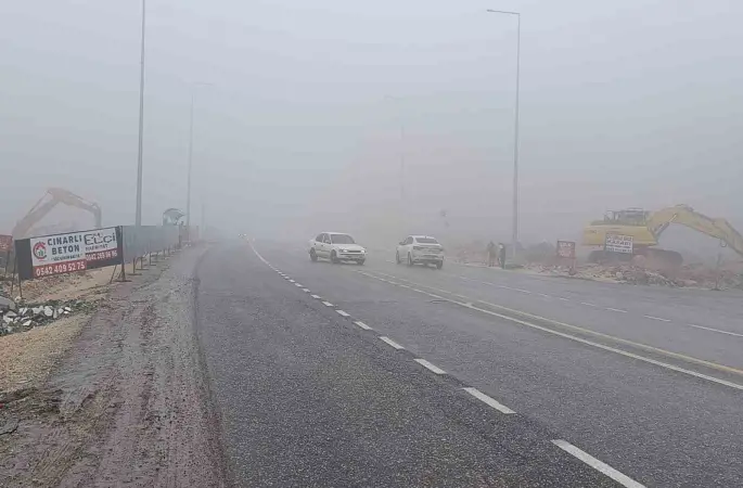 Şanlıurfa’da yoğun sis ve yağmur etkili oluyor
