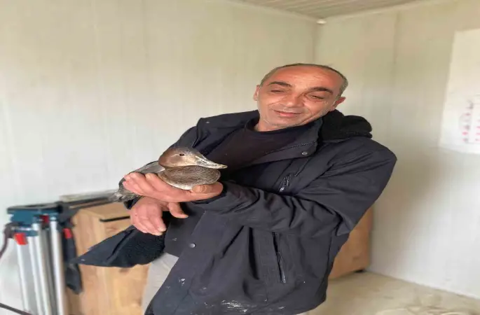 Şantiyede yaralı halde bulduğu ördeğe çocuğu gibi baktı
