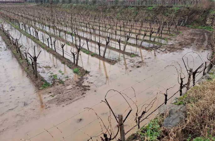 Sarıgöl’de bereketli yağmurlar yüzleri güldürdü
