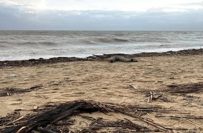 Sarımsaklı sahiline kadın cesedi vurdu
